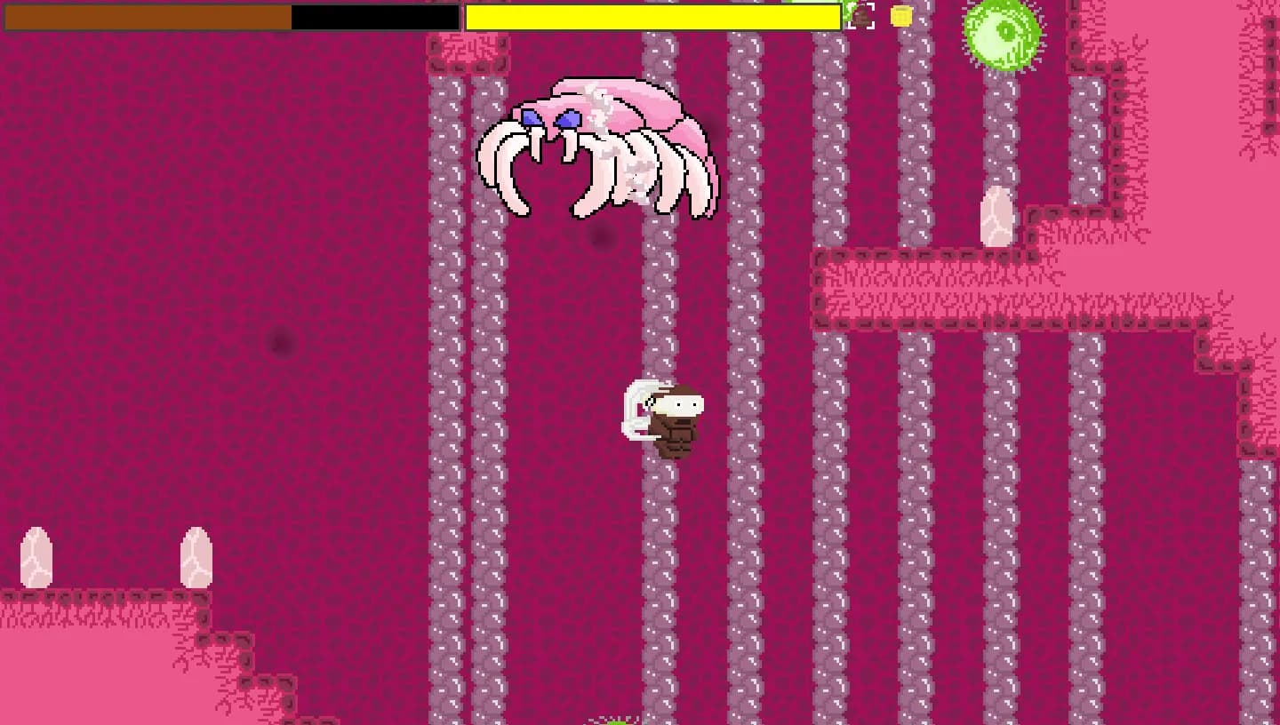 Ninja Turdle görsel 24