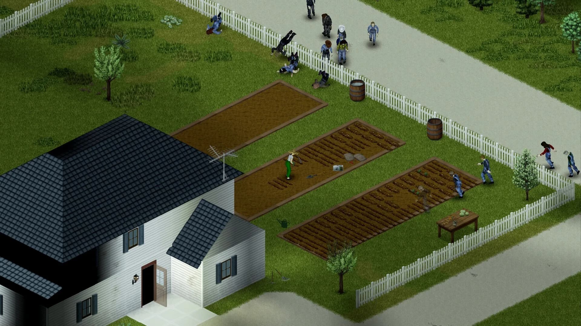 Project Zomboid görsel 8