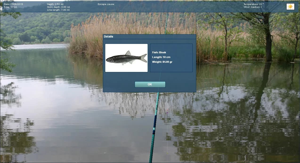 Truefish görsel 7