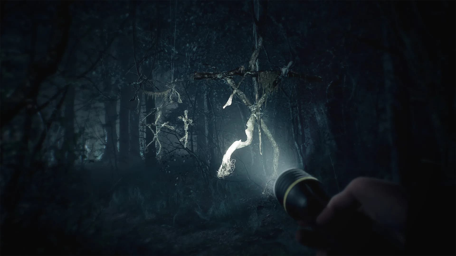 Blair Witch görsel 4