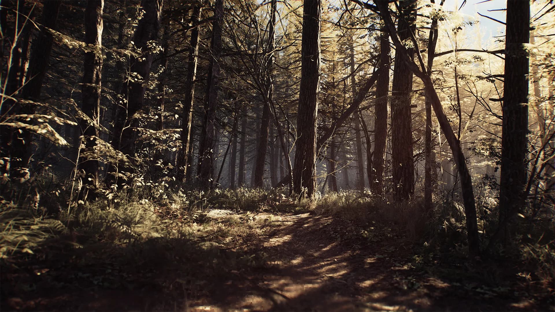 Blair Witch görsel 5