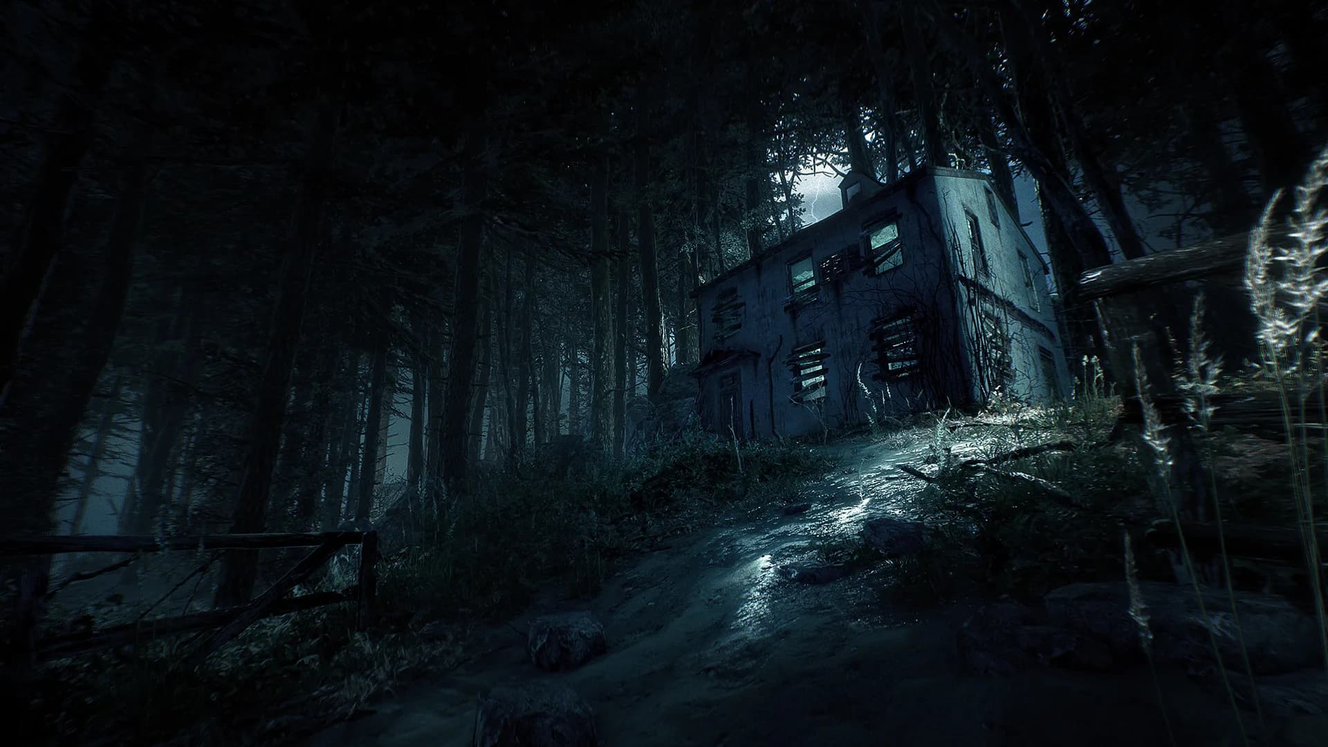 Blair Witch görsel 7