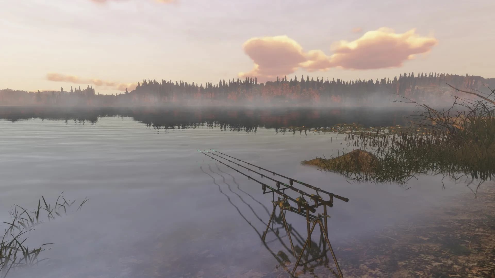 Fisher Online görsel 3