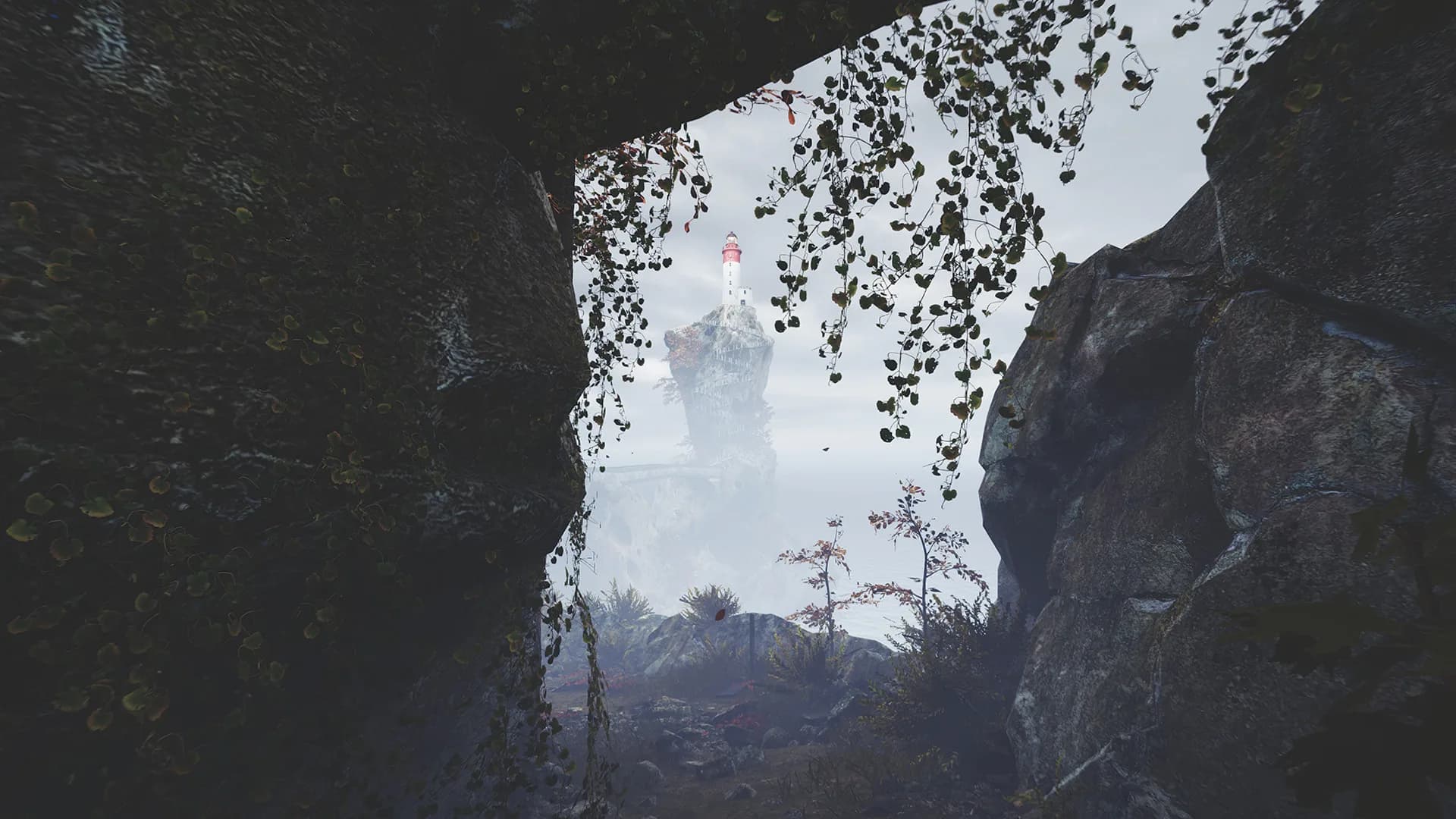 Lapso görsel 2