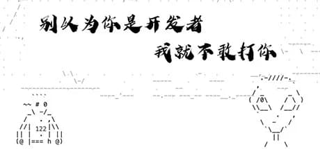 别以为你是开发者我就不敢打你