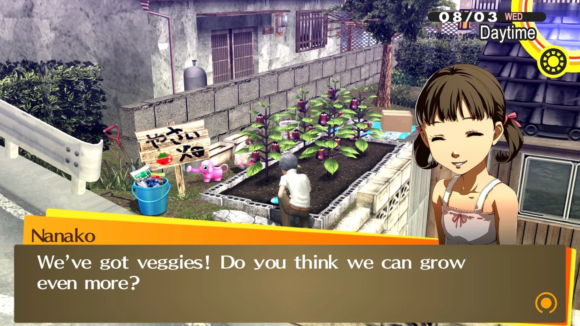 Persona 4 Golden görsel 12