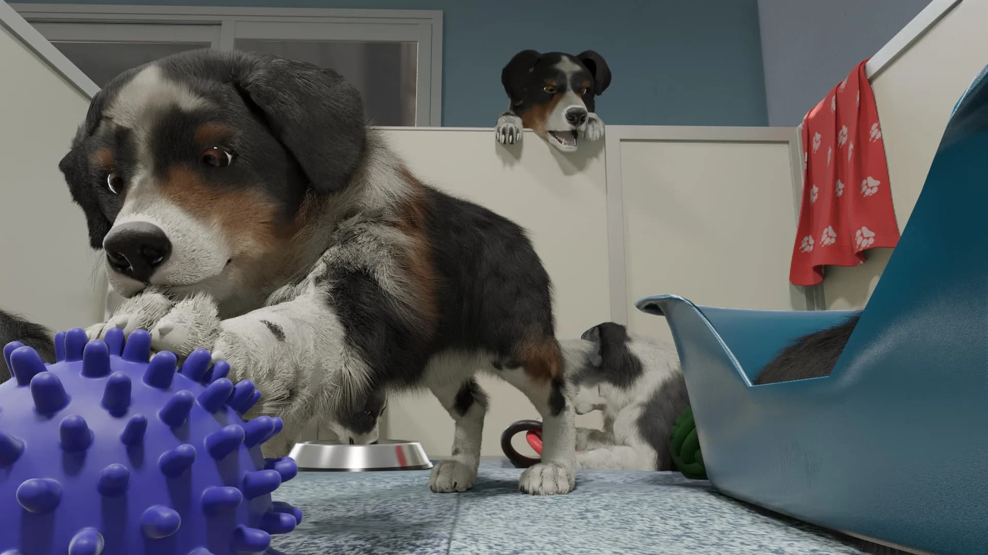 Dog Trainer görsel 2