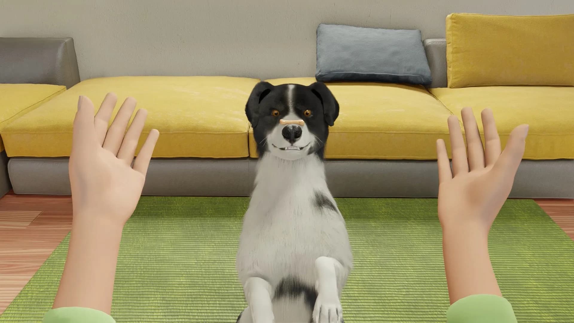 Dog Trainer görsel 3