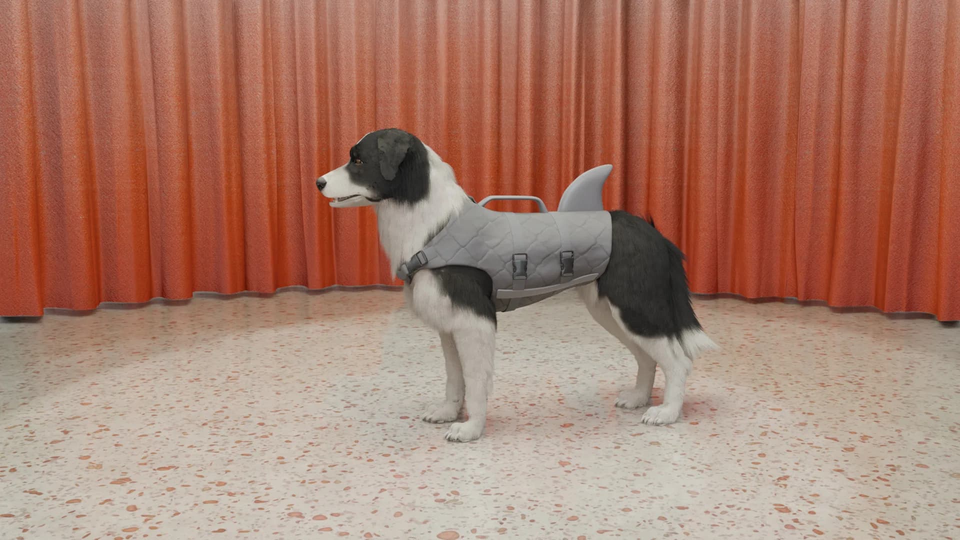 Dog Trainer görsel 5