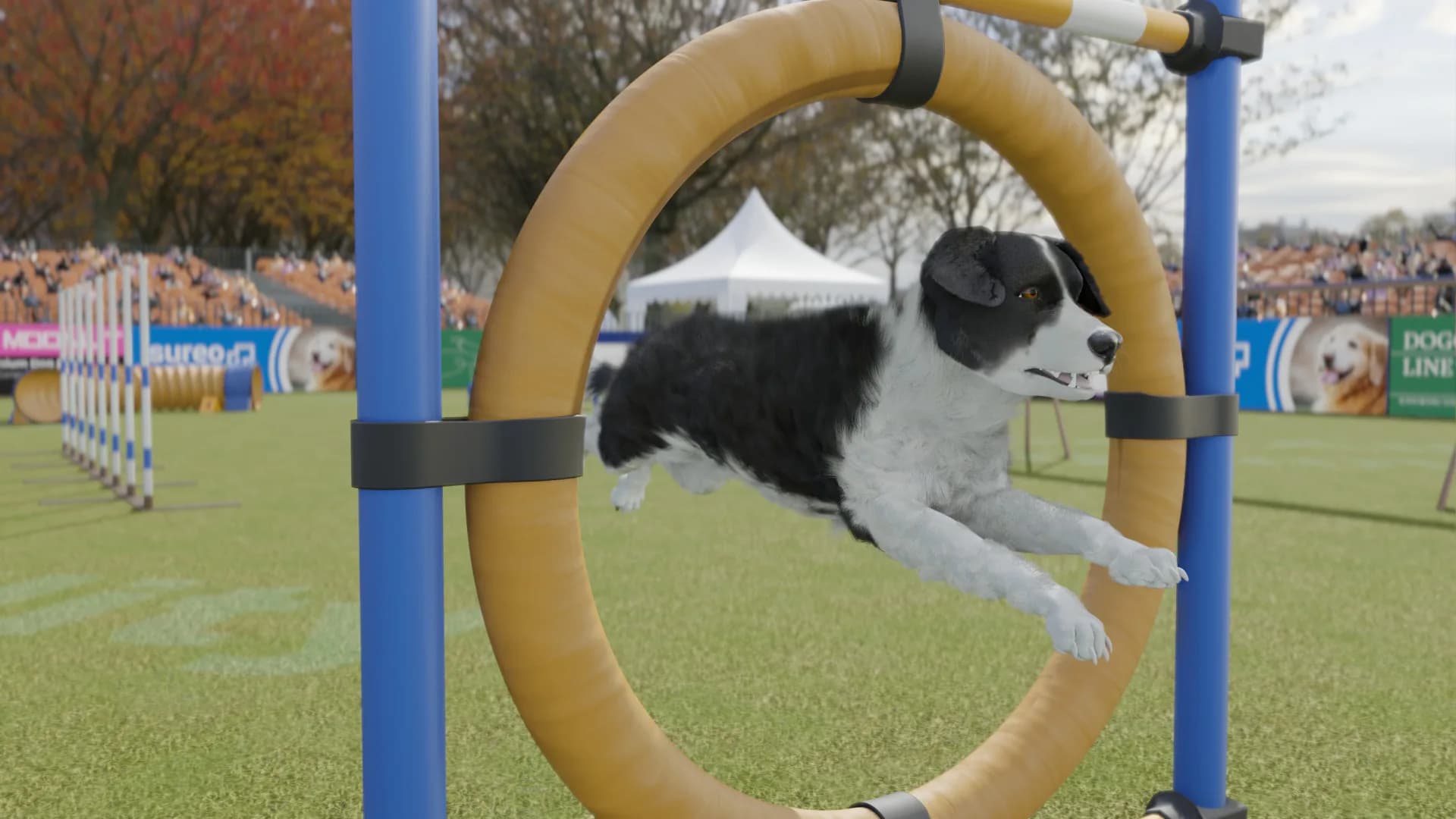Dog Trainer görsel 6