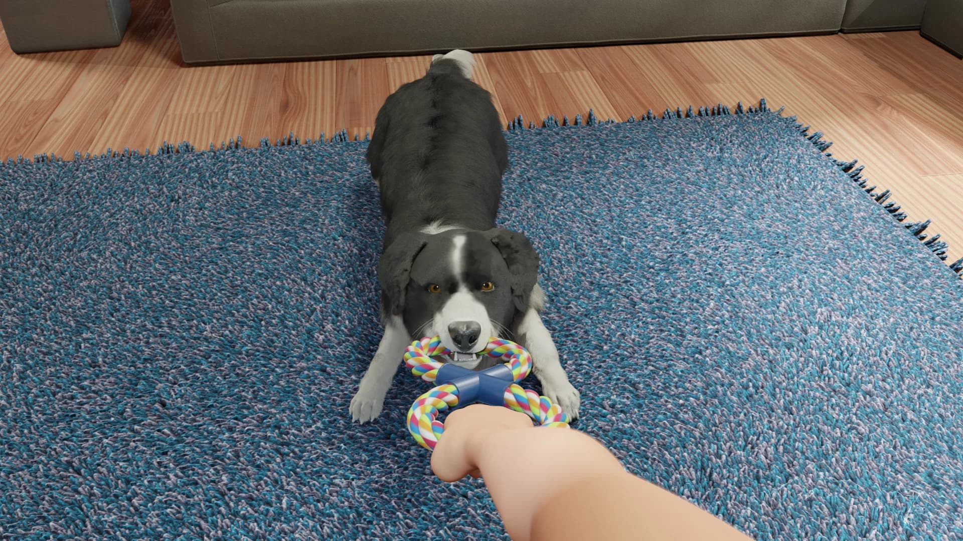 Dog Trainer görsel 7