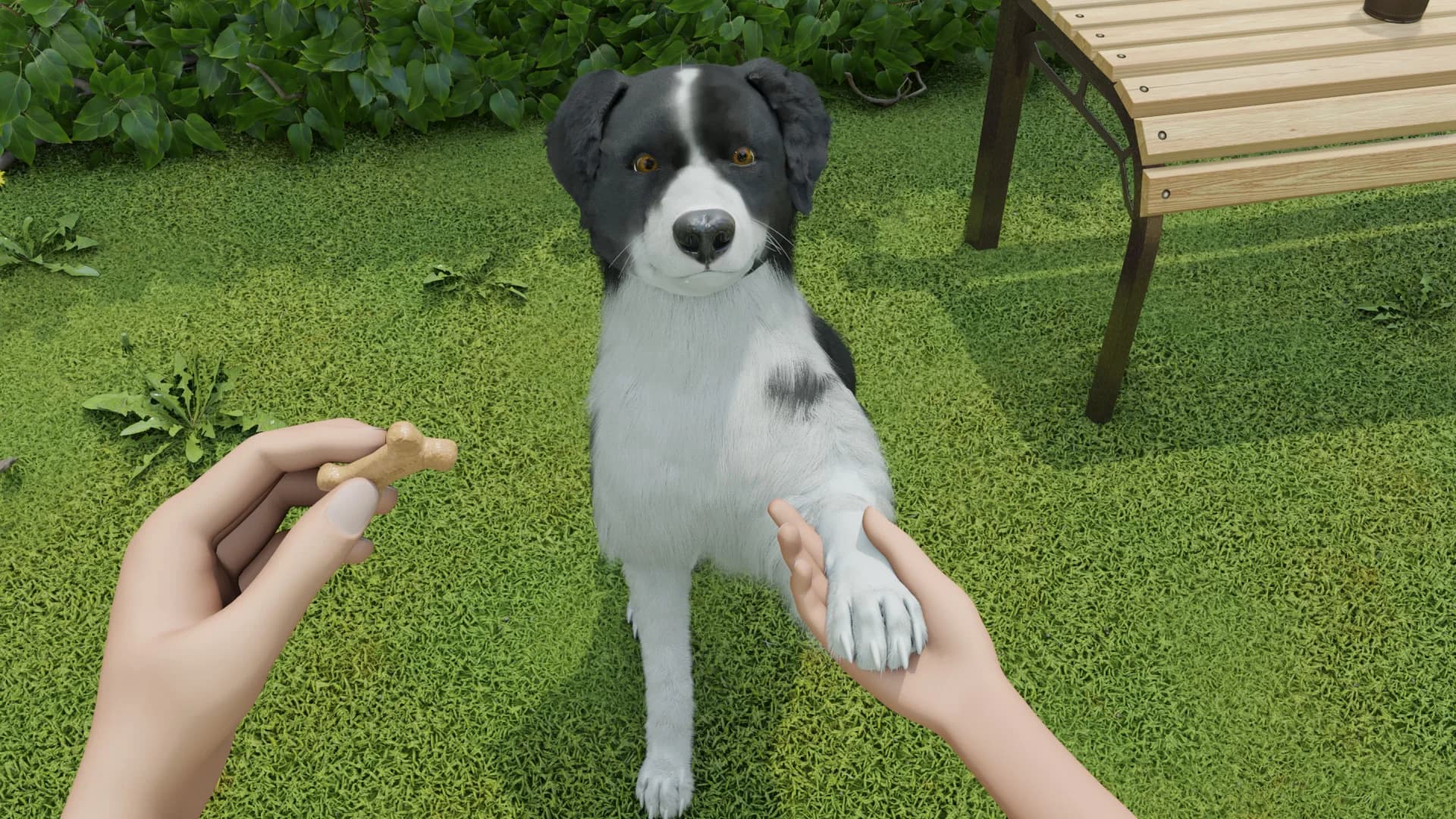 Dog Trainer görsel 8