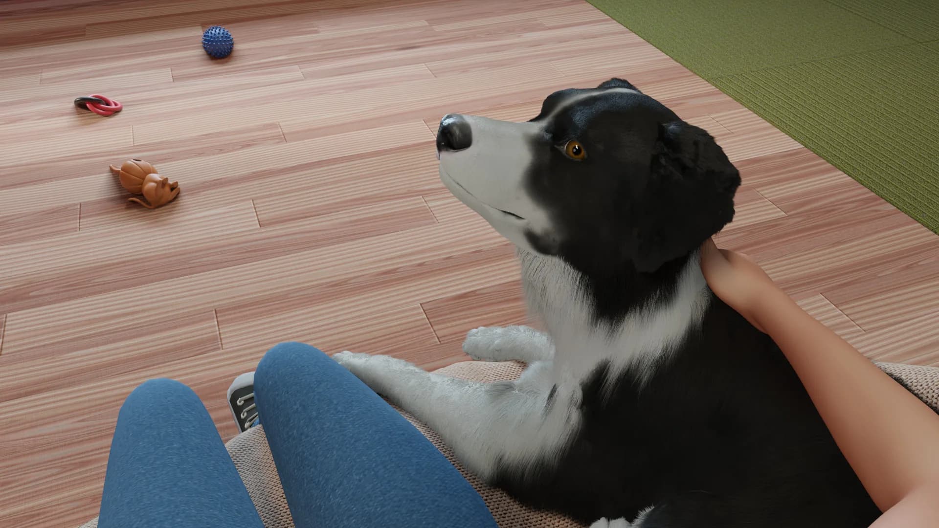 Dog Trainer görsel 9