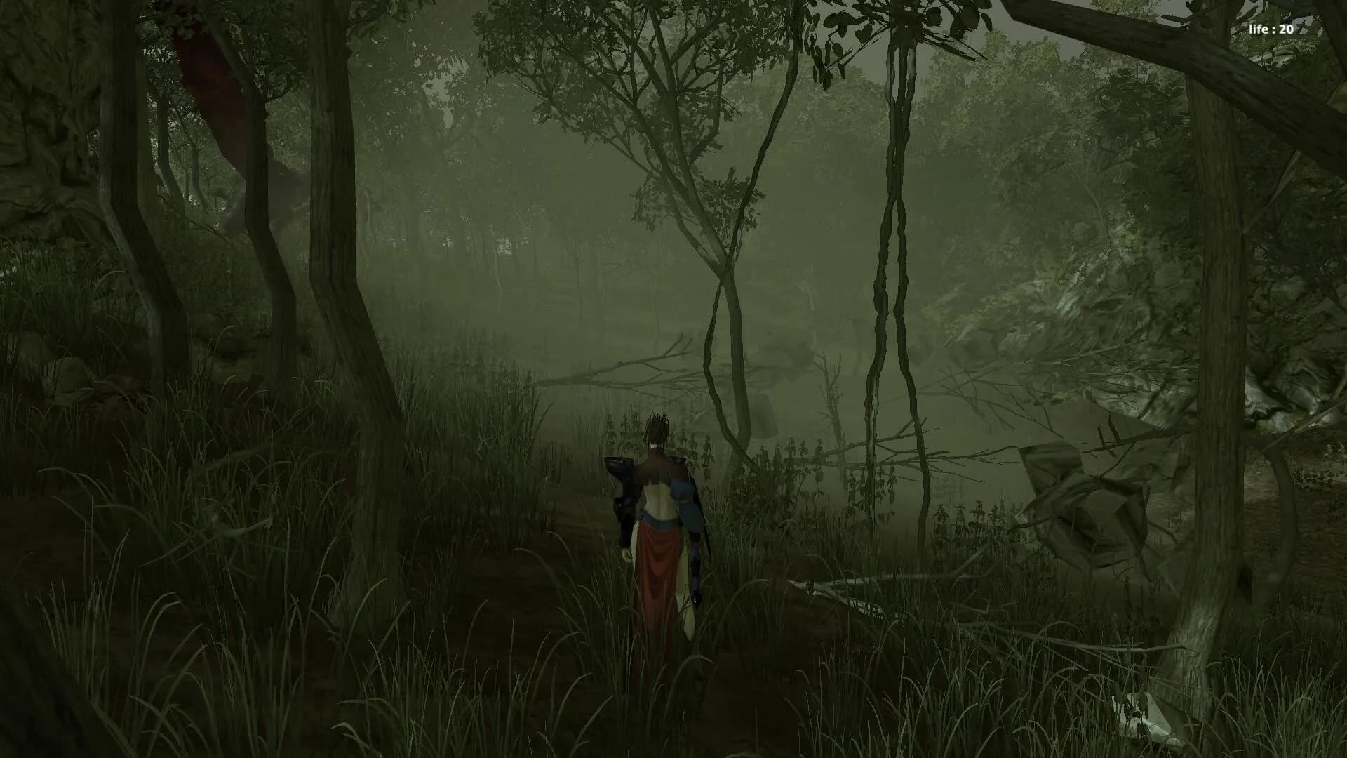 Forest Mage görsel 2
