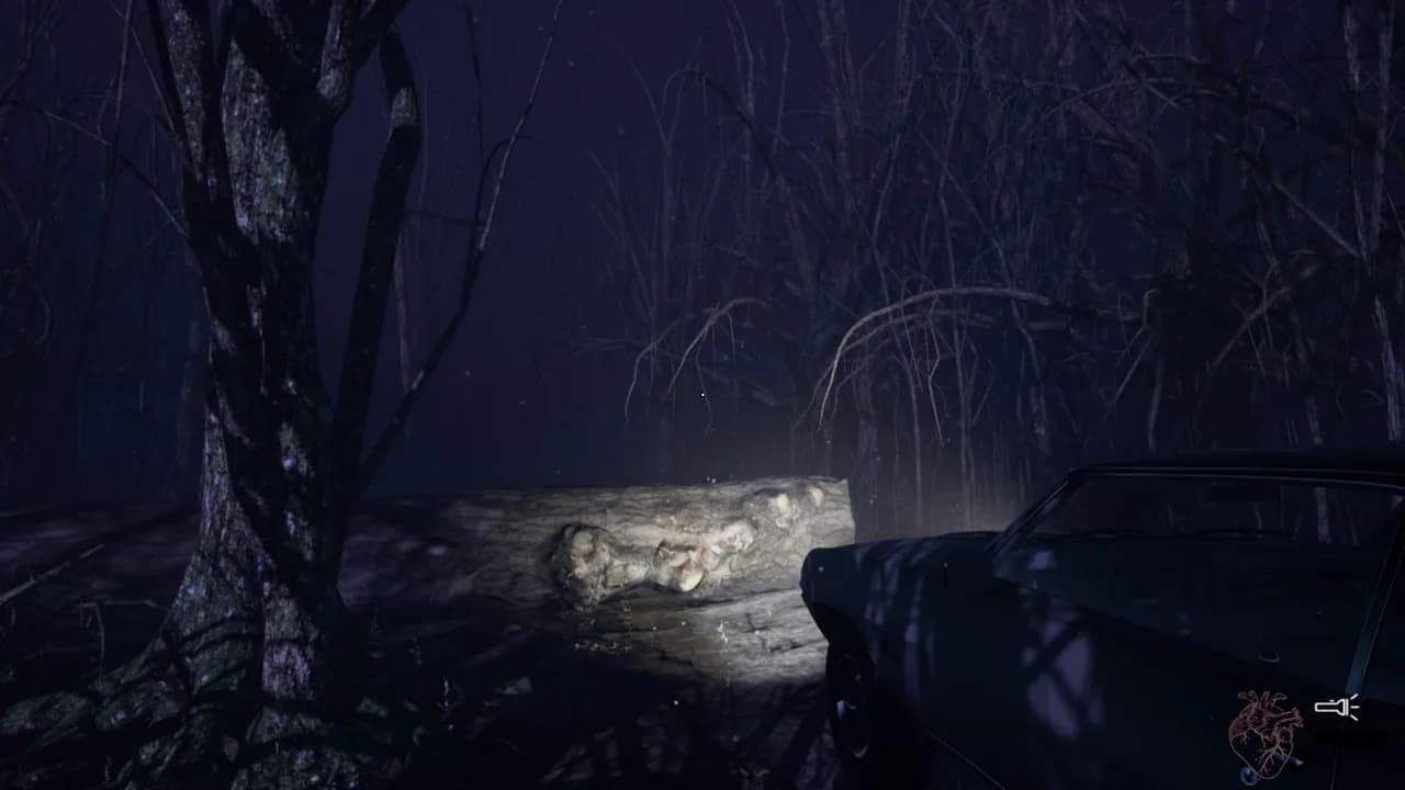 CENTRALIA görsel 2
