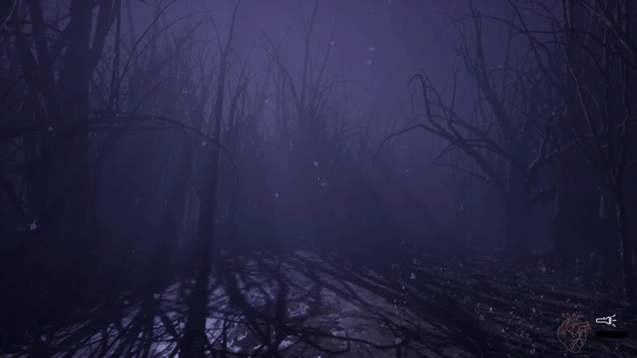 CENTRALIA görsel 12