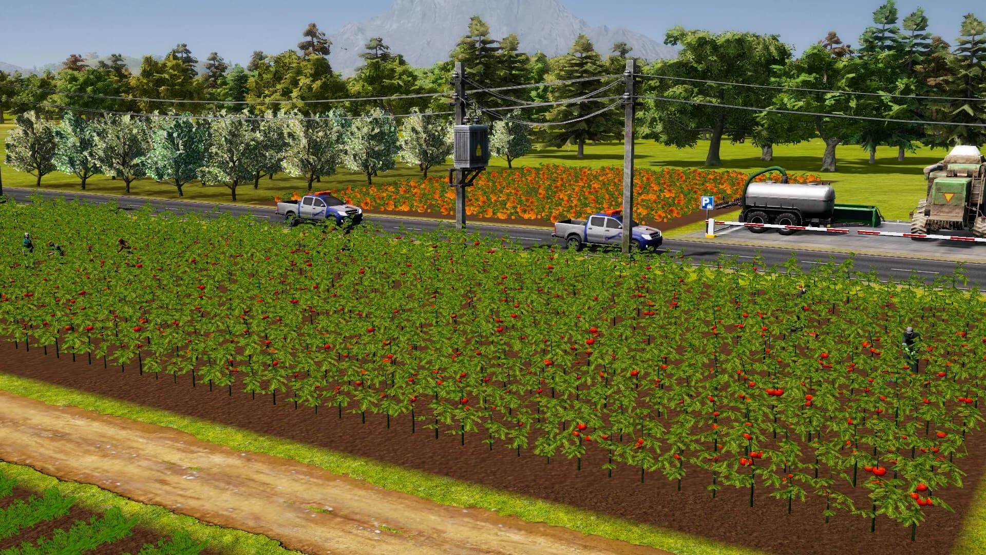 Farm Manager 2021 görsel 21