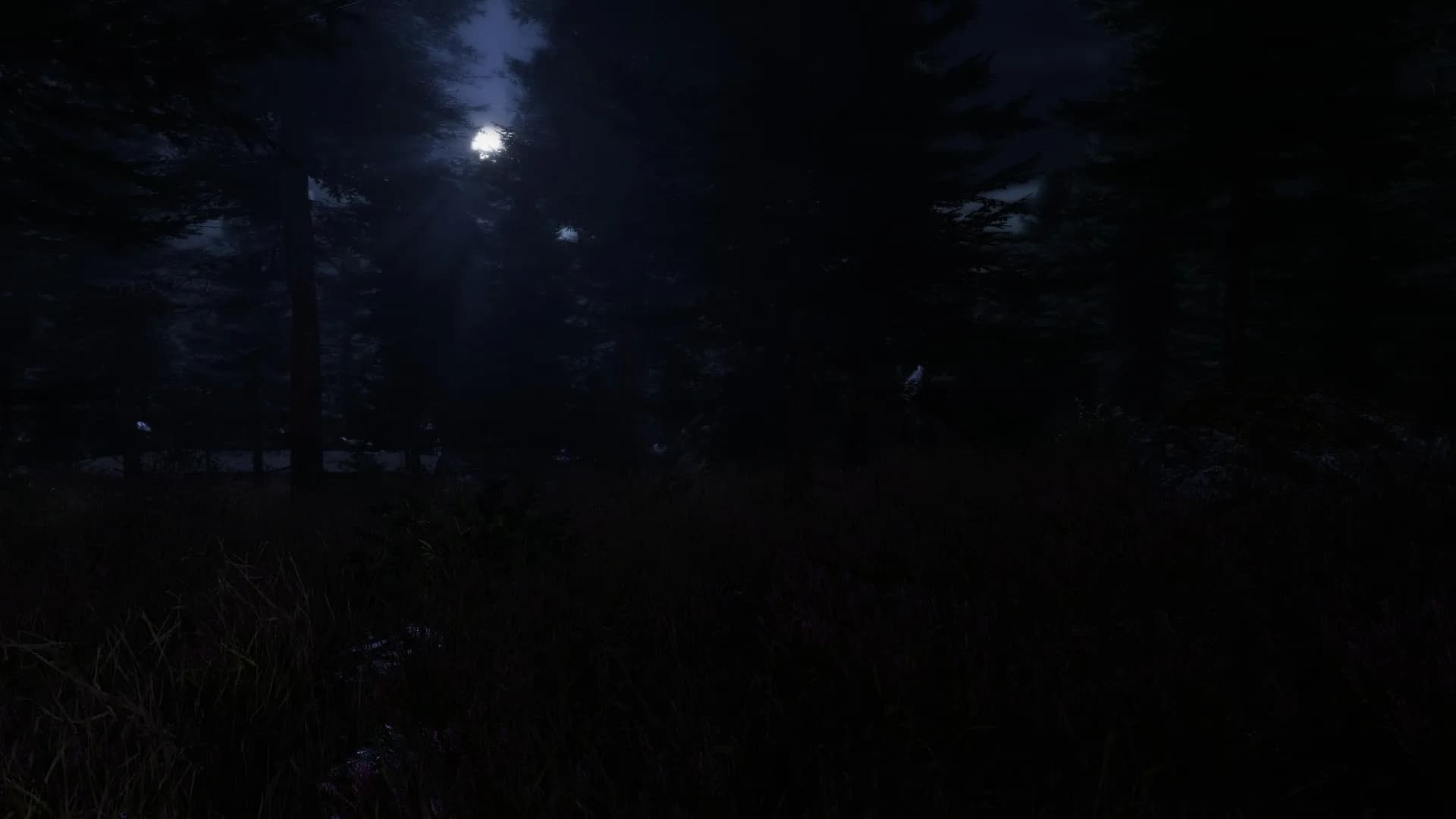 The Forgotten görsel 13