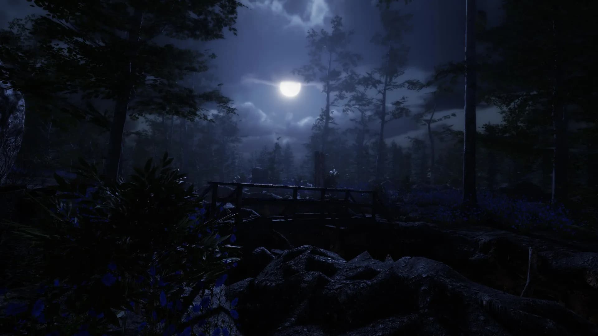 The Forgotten görsel 19