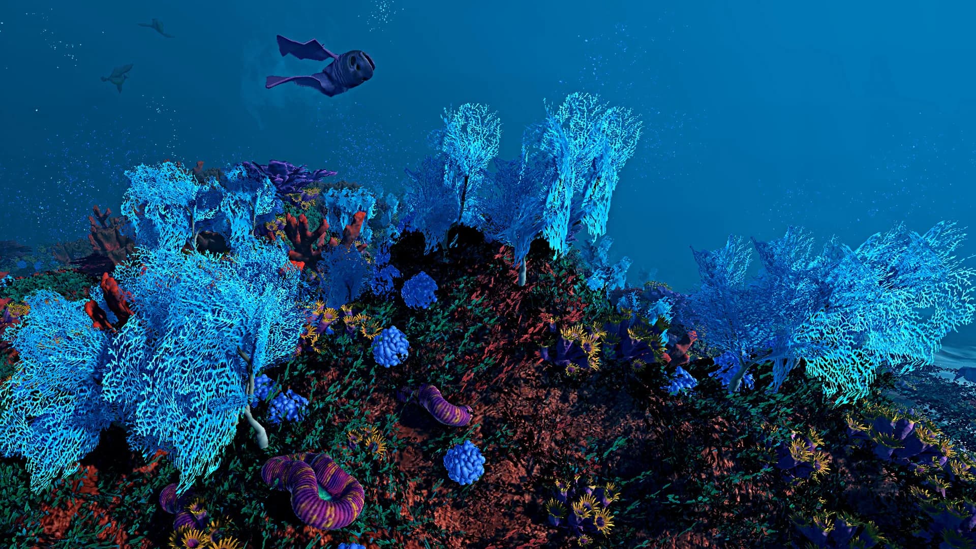 Ecosystem görsel 3