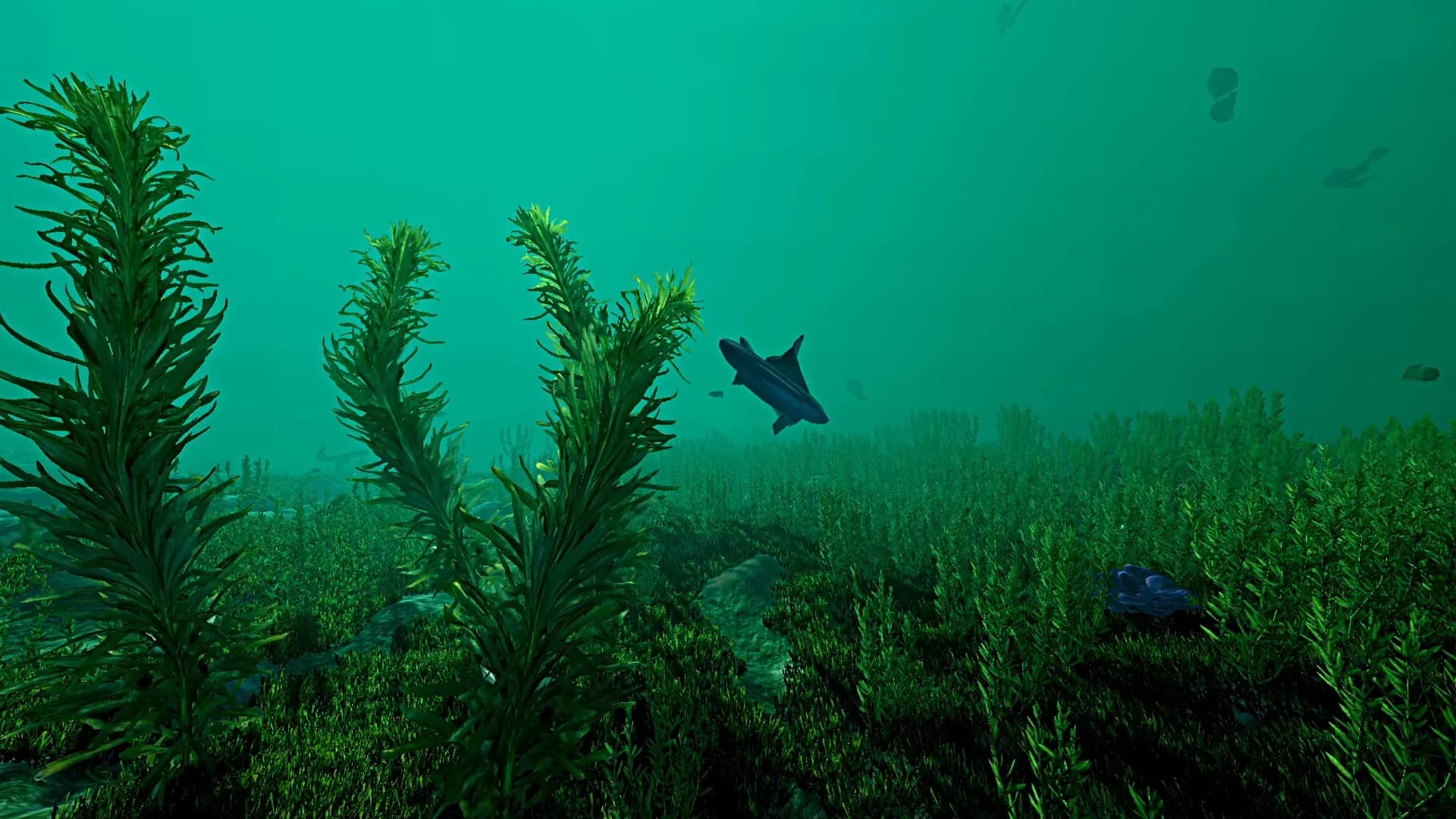 Ecosystem görsel 12