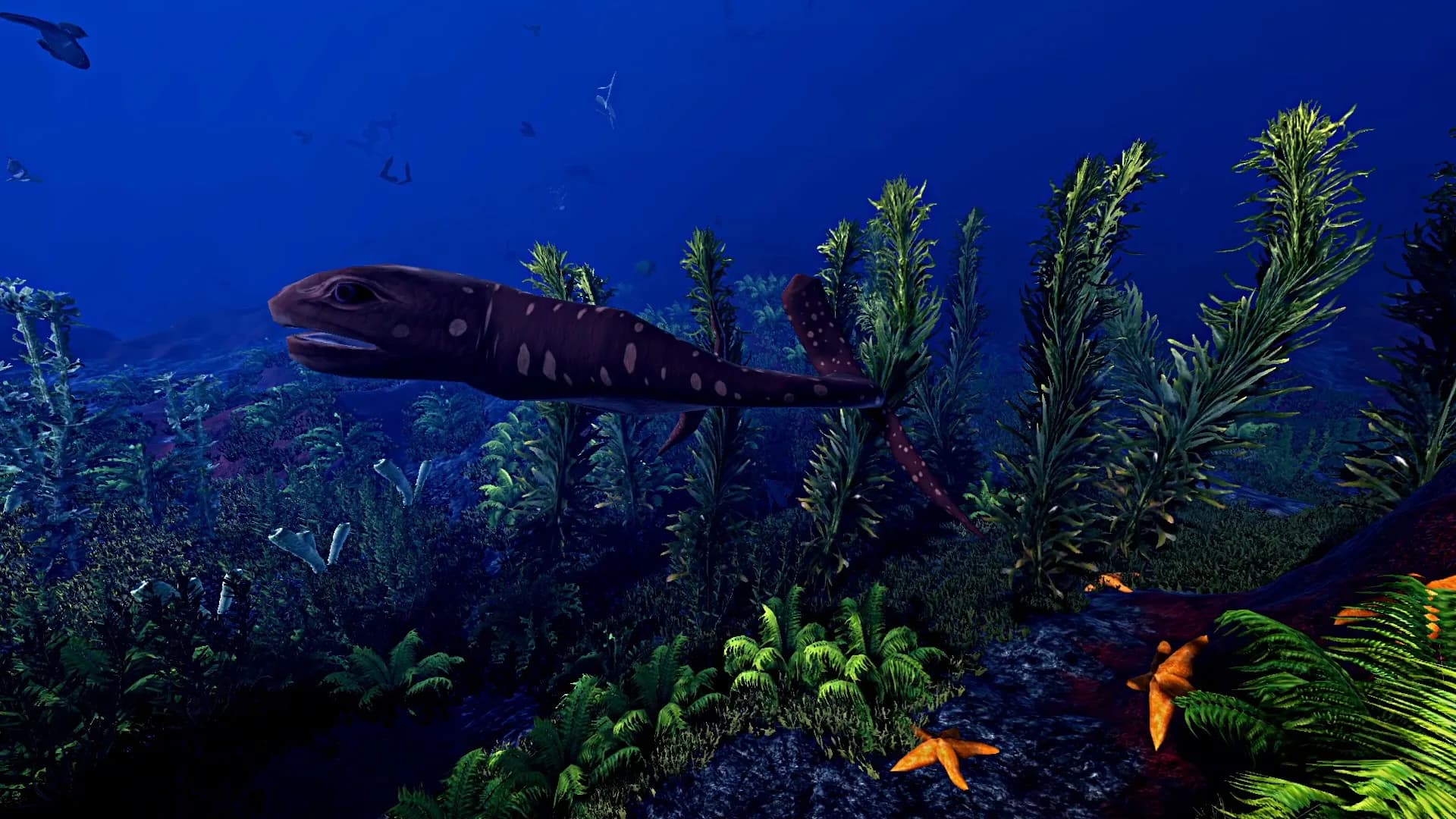 Ecosystem görsel 13