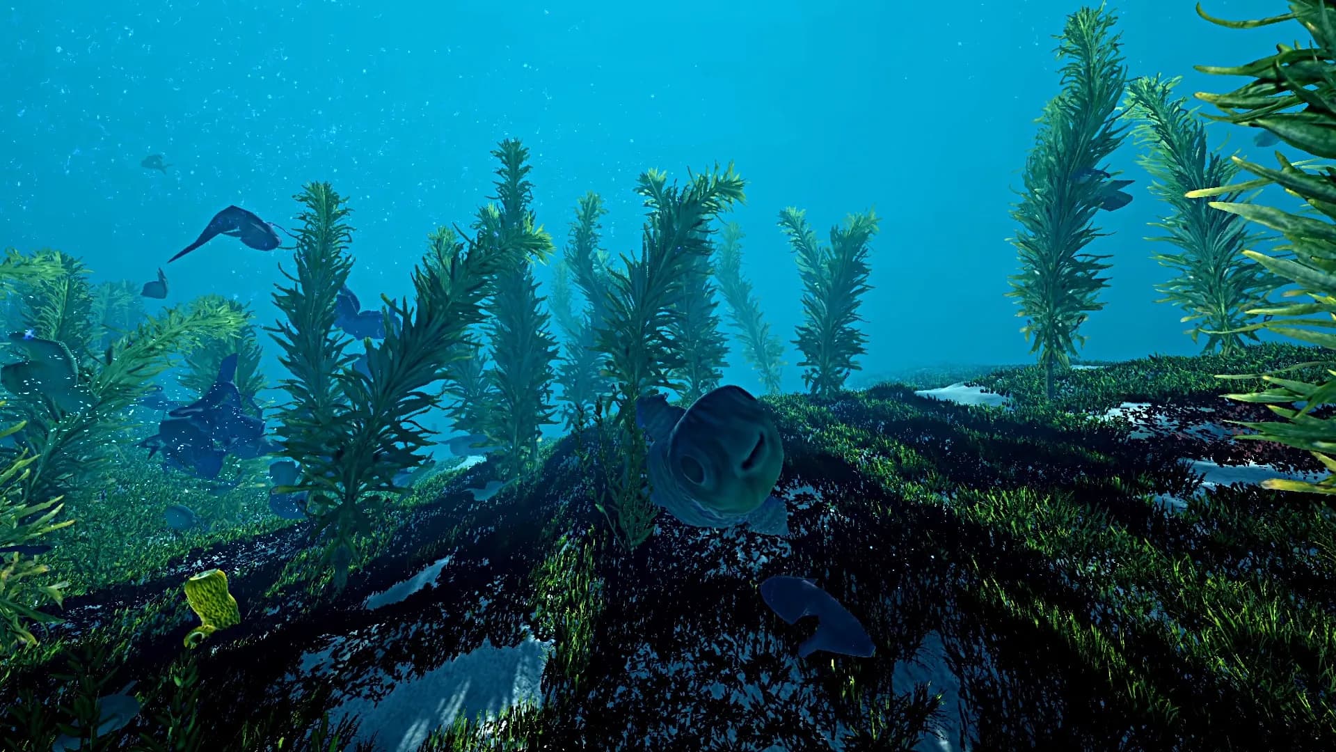 Ecosystem görsel 14