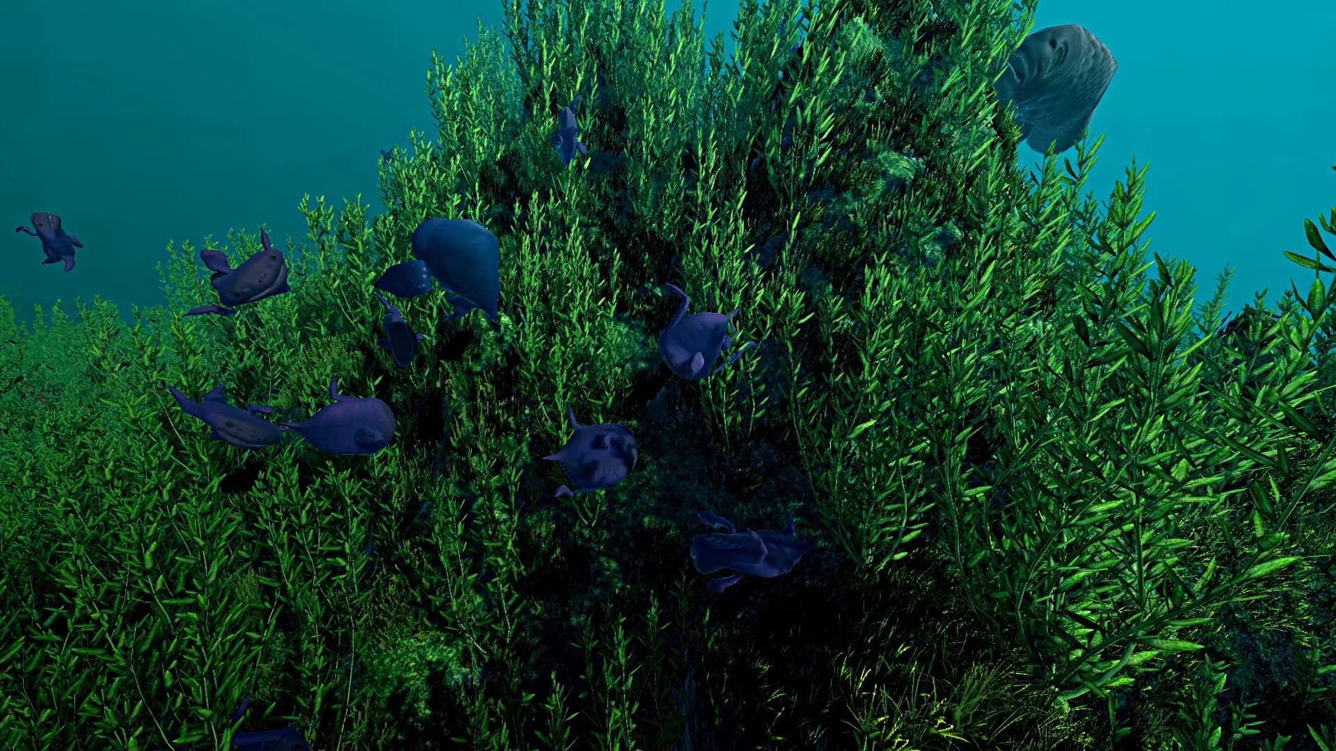 Ecosystem görsel 5