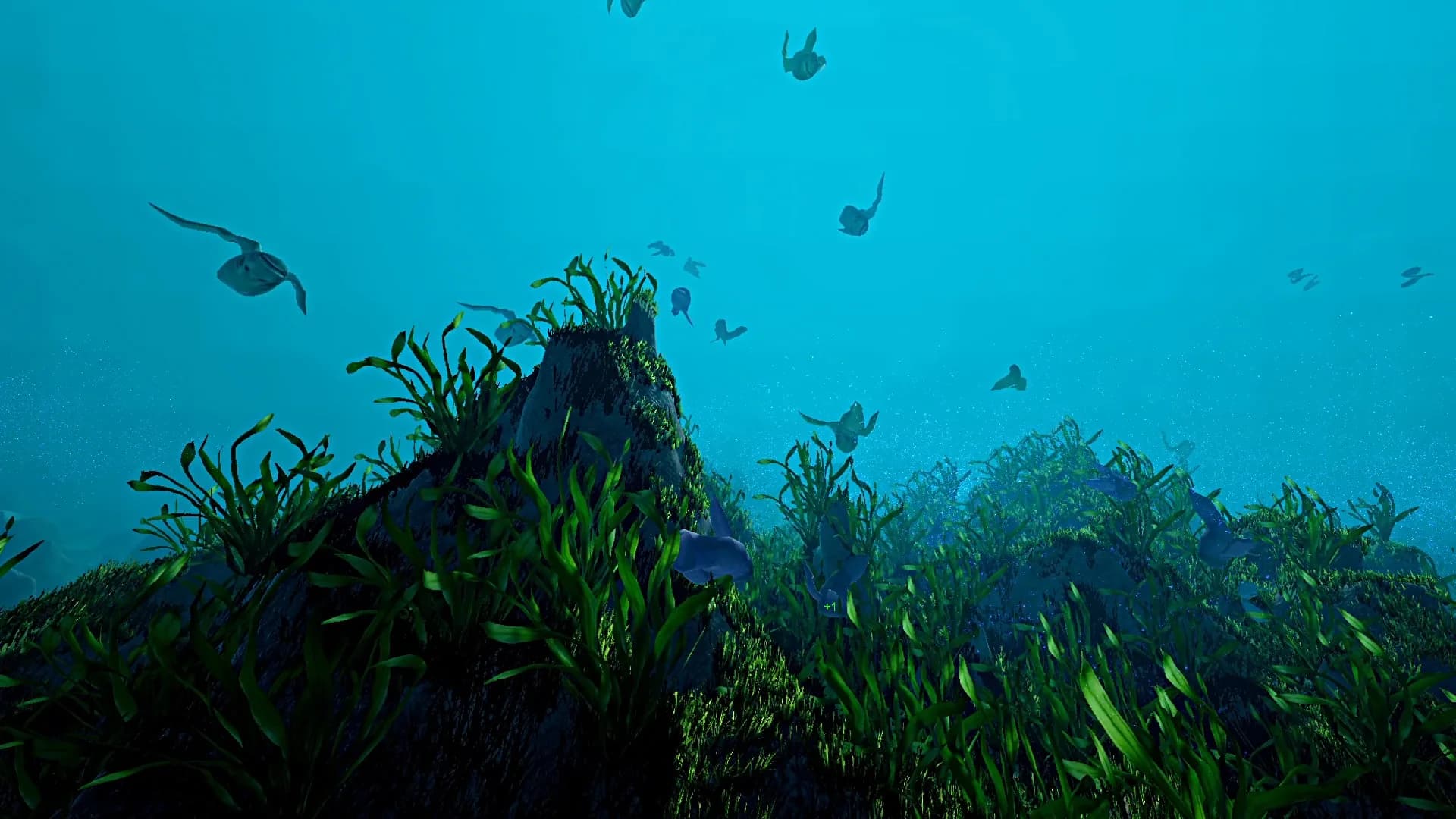 Ecosystem görsel 7