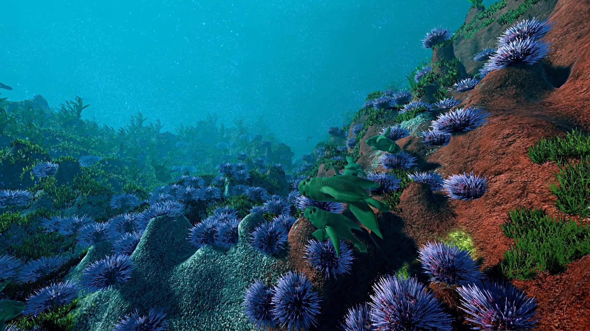 Ecosystem görsel 9