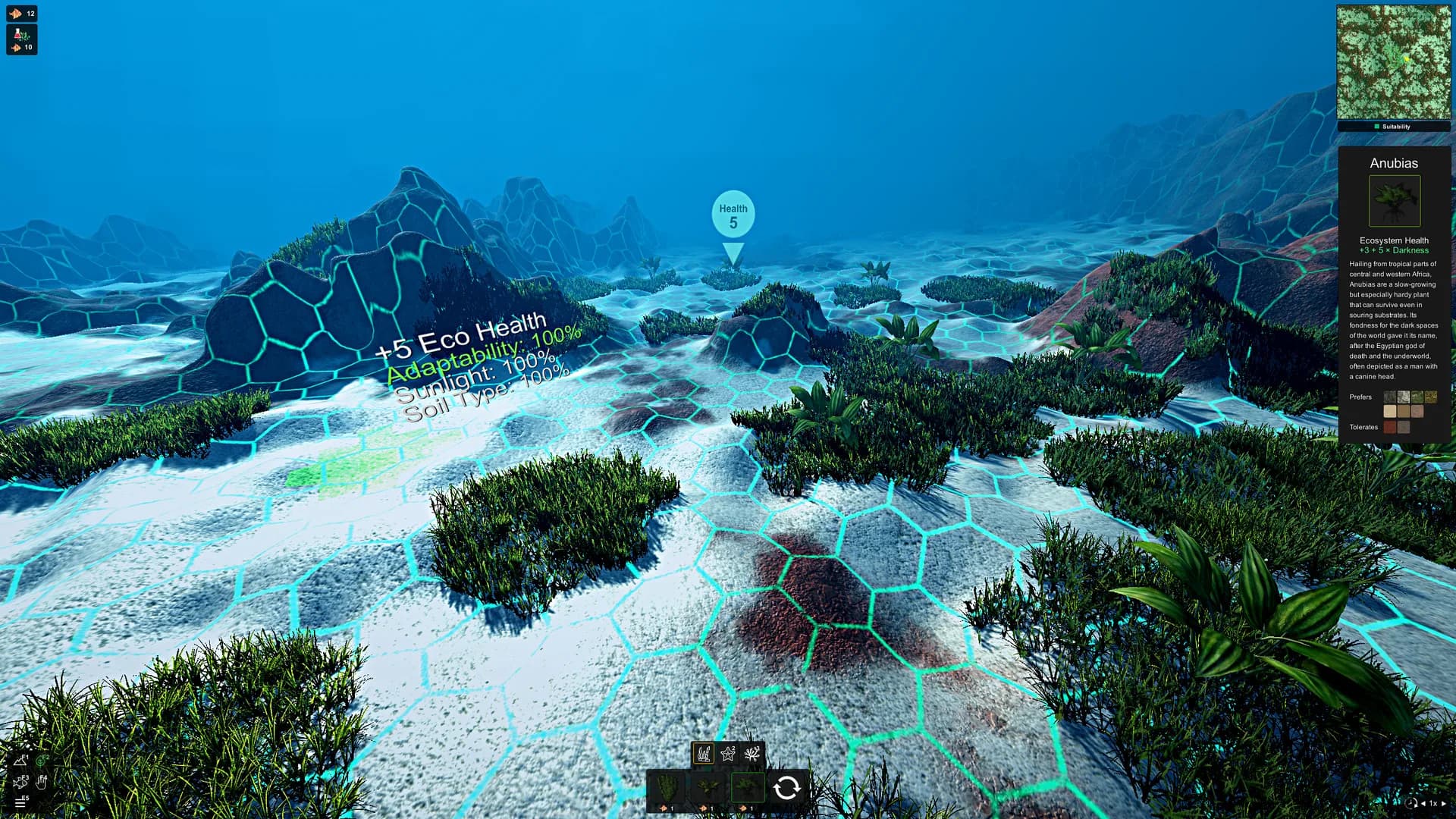 Ecosystem görsel 10