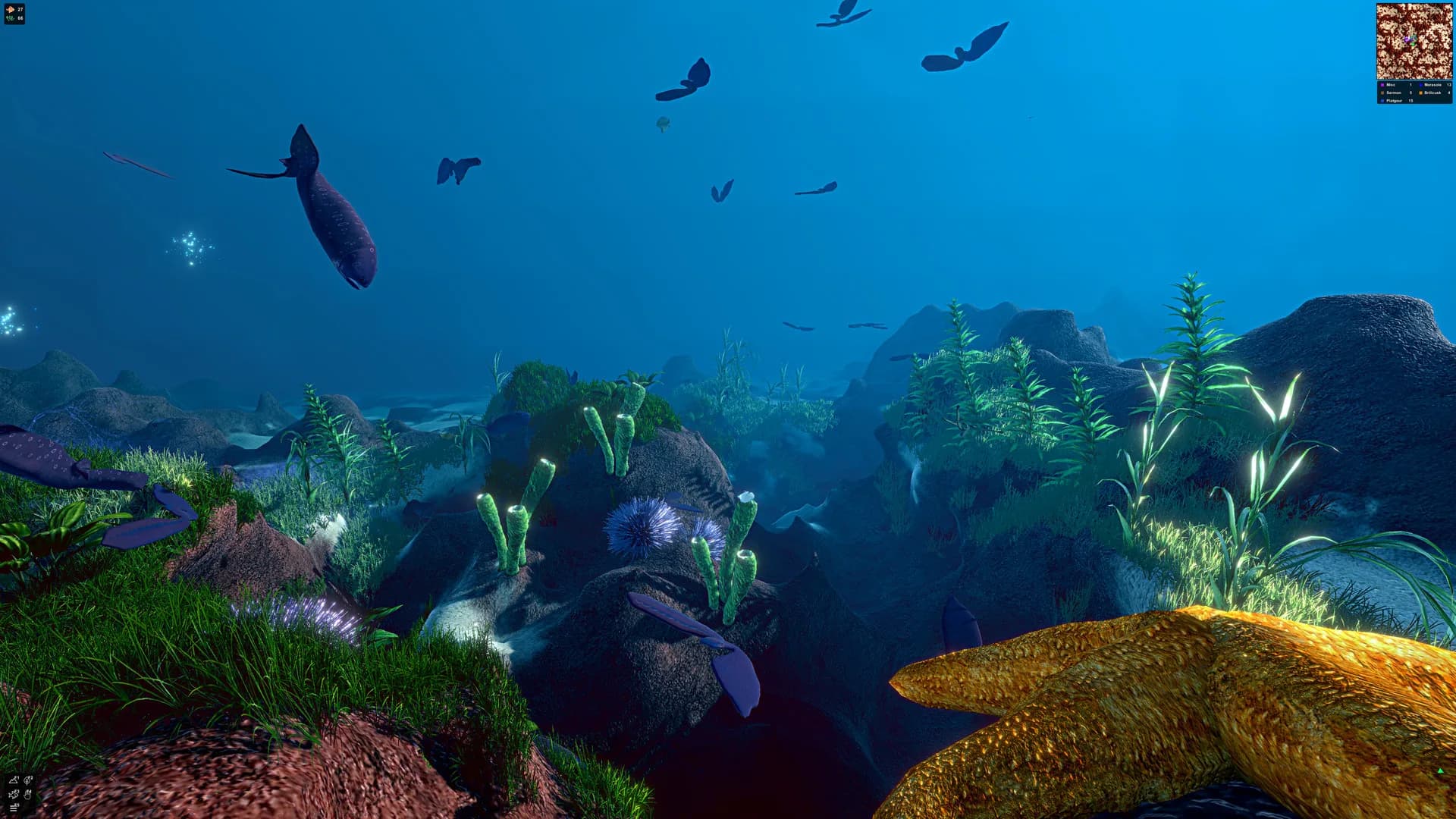 Ecosystem görsel 11