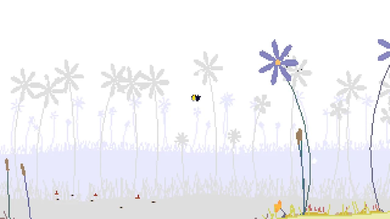 Bombini görsel 2