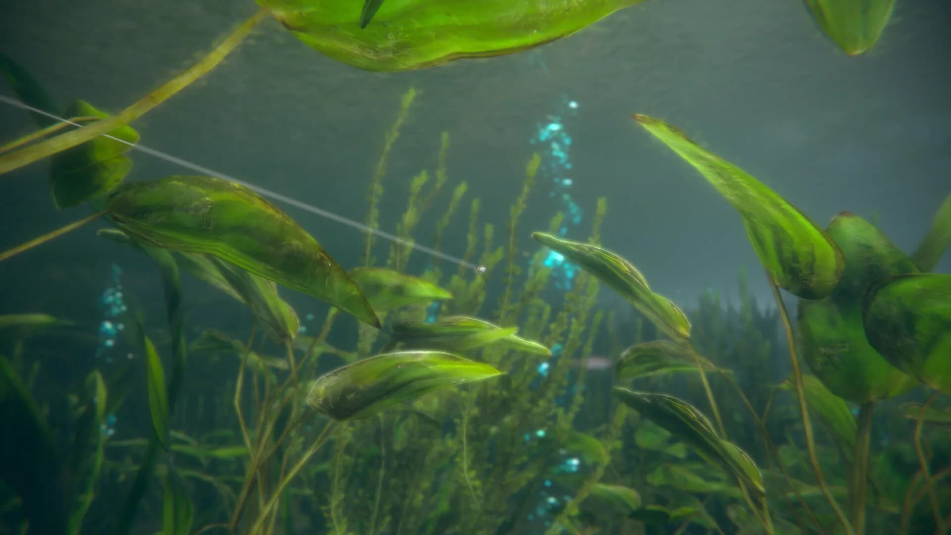 Ultimate Fishing® Simulator 2 görsel 21