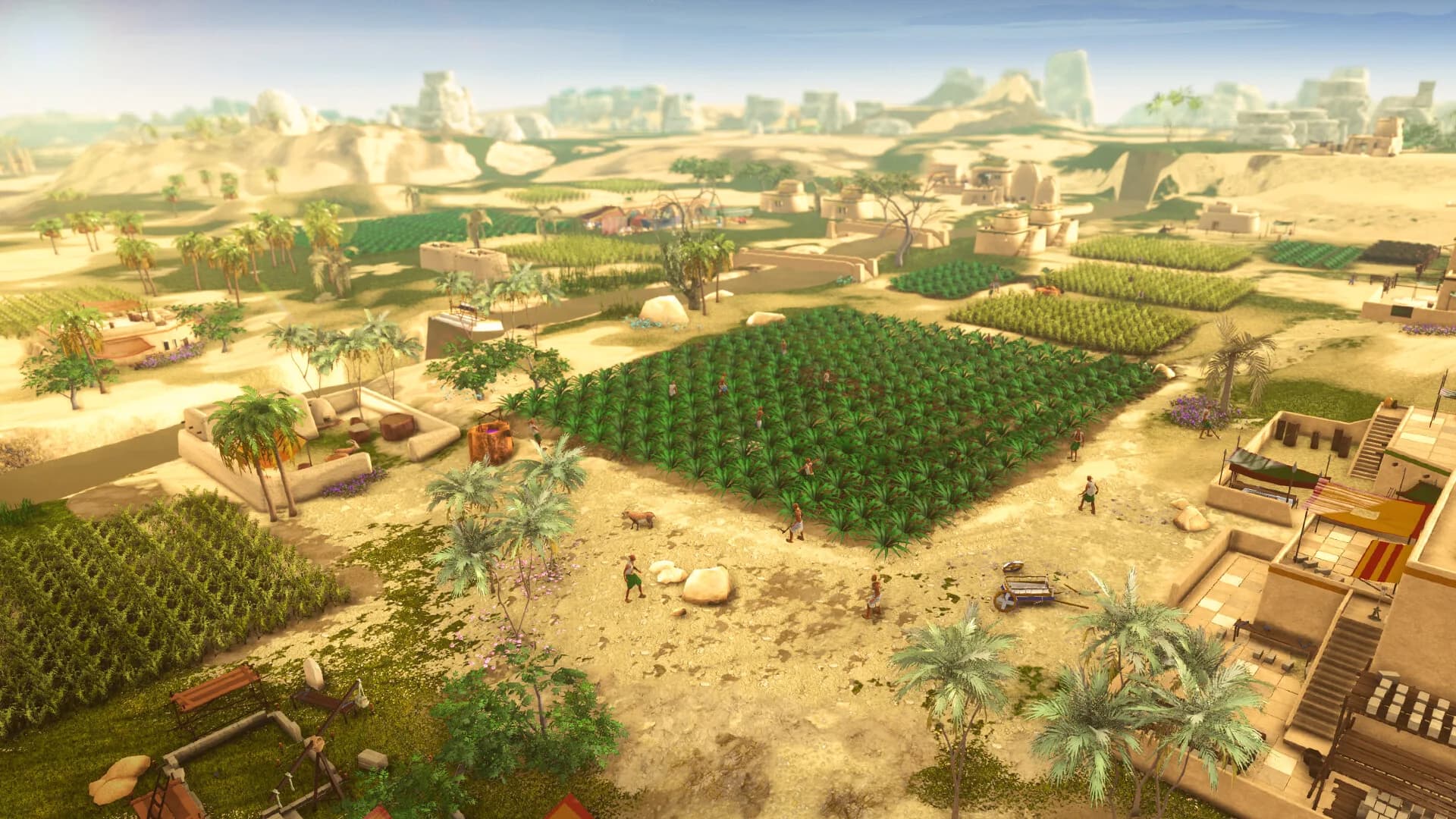 Dynasty of the Sands görsel 7