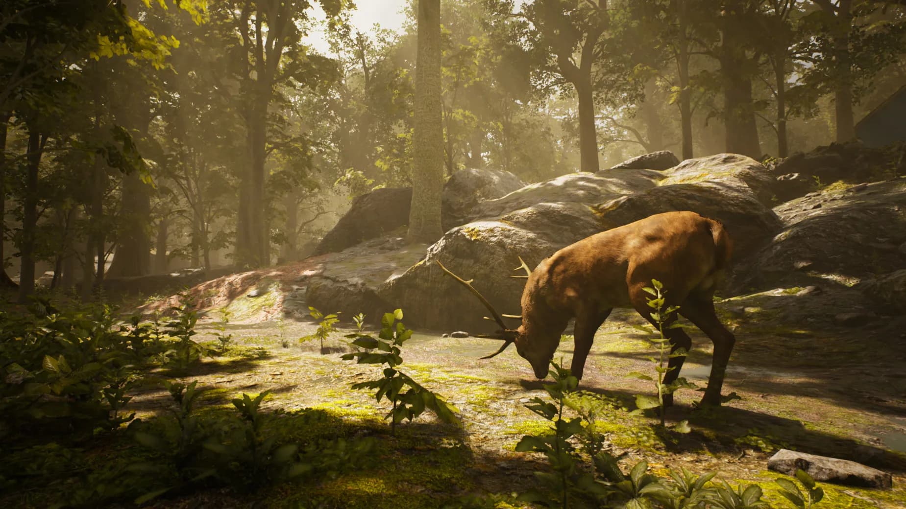 Trapper Simulator görsel 7