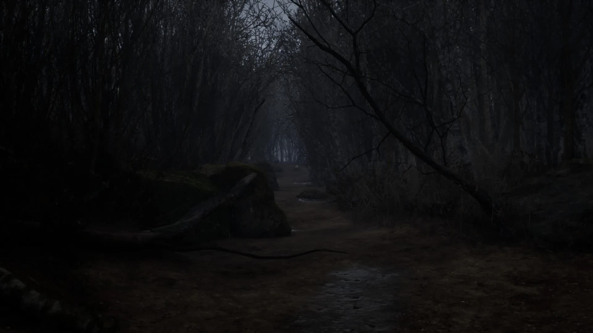 Horror Story: Hallowseed görsel 4