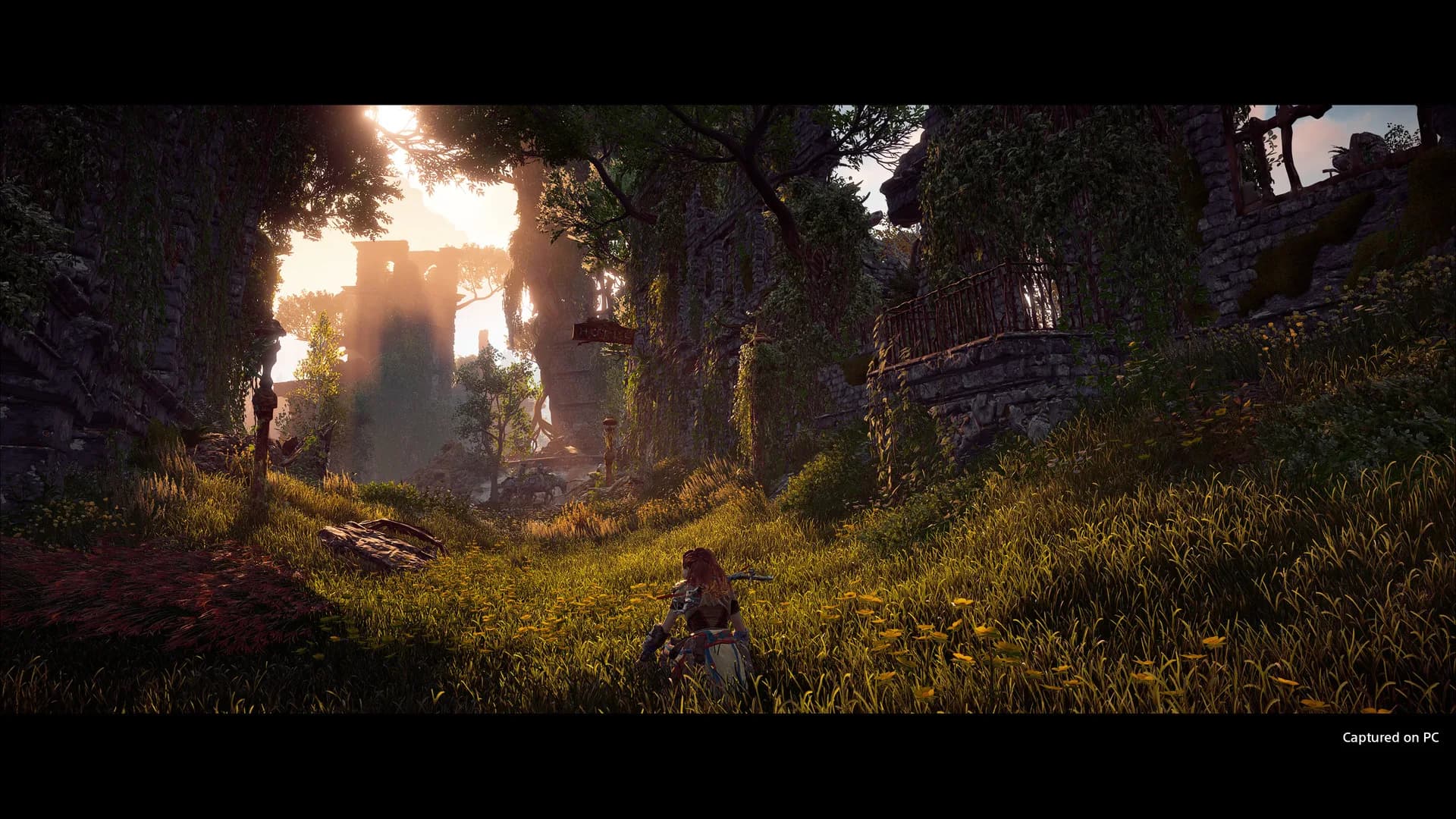 Horizon Zero Dawn™ Complete Edition görsel 6