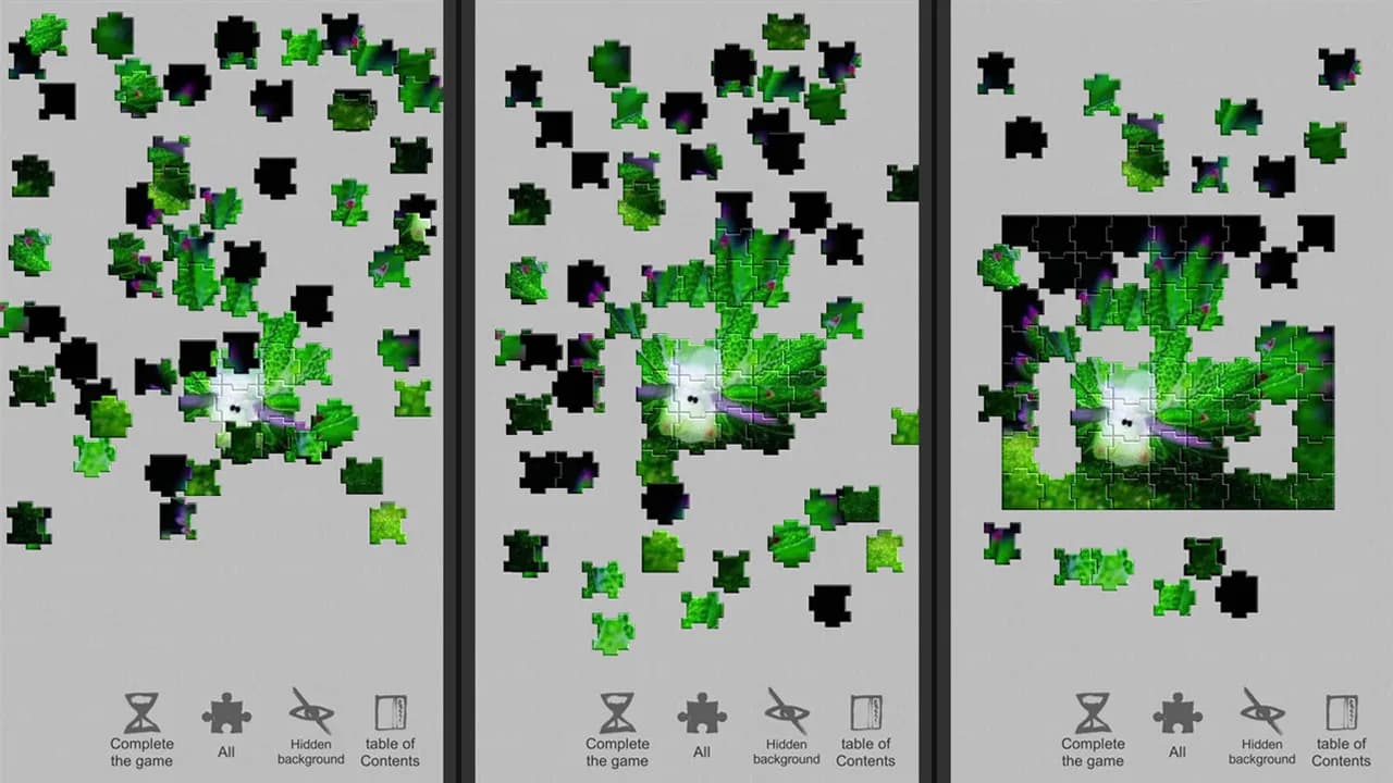 Jigsaw puzzle - Evolution görsel 4