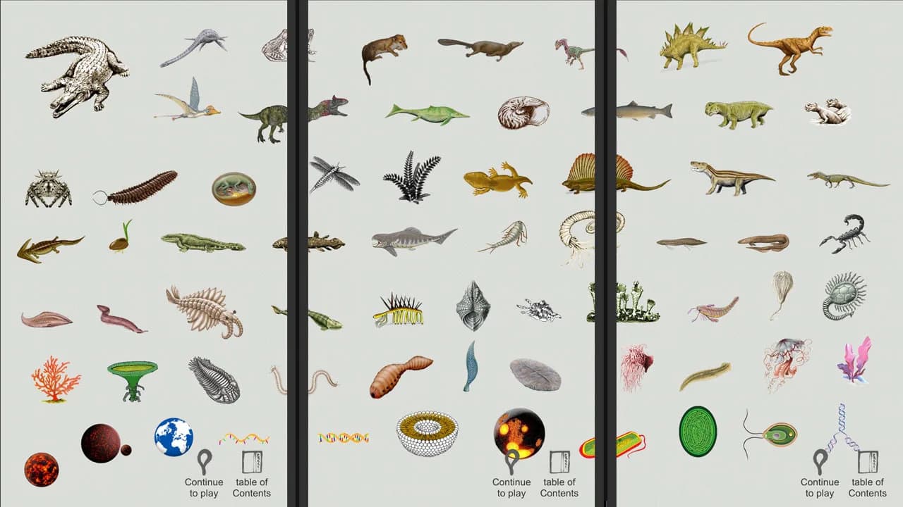 Jigsaw puzzle - Evolution görsel 7
