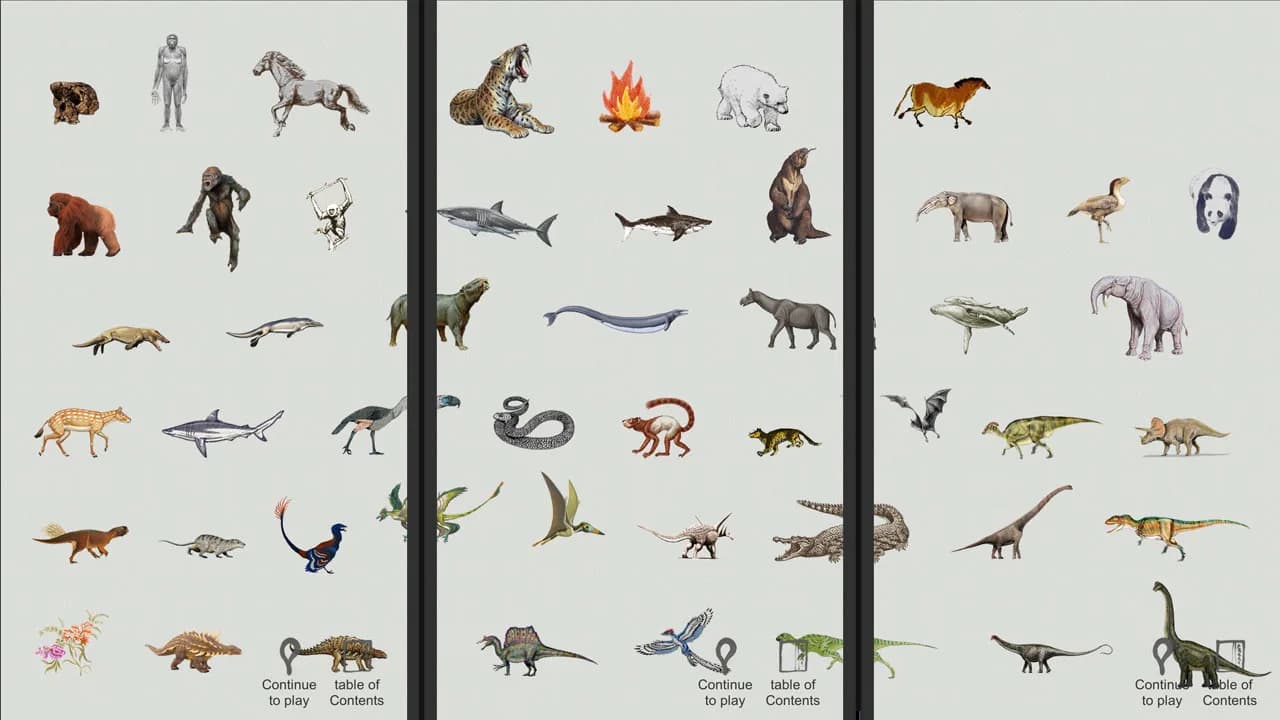 Jigsaw puzzle - Evolution görsel 8