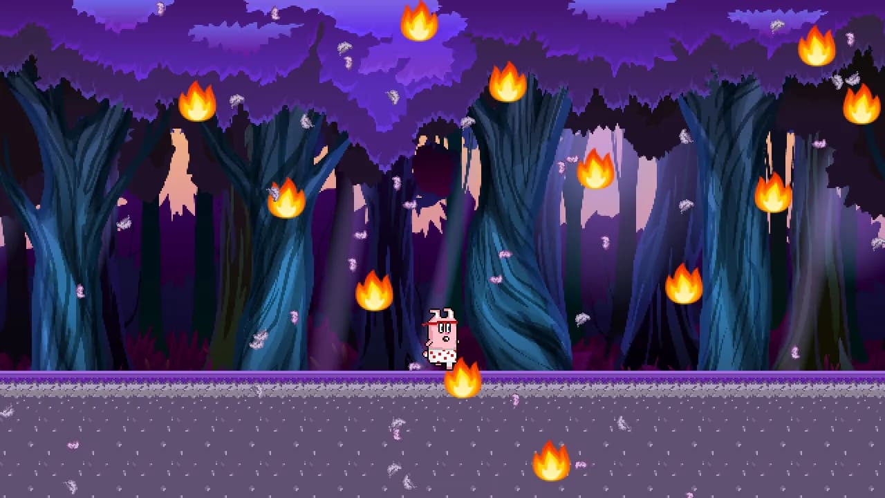Rambunny görsel 8