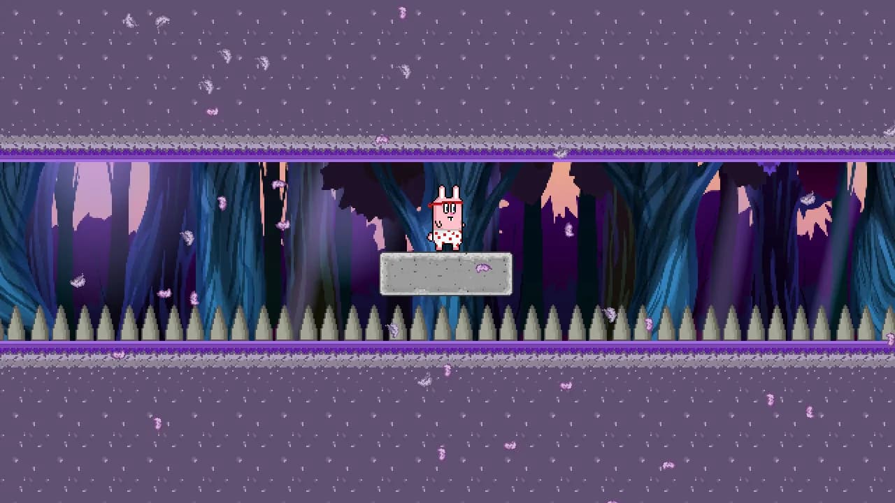 Rambunny görsel 9
