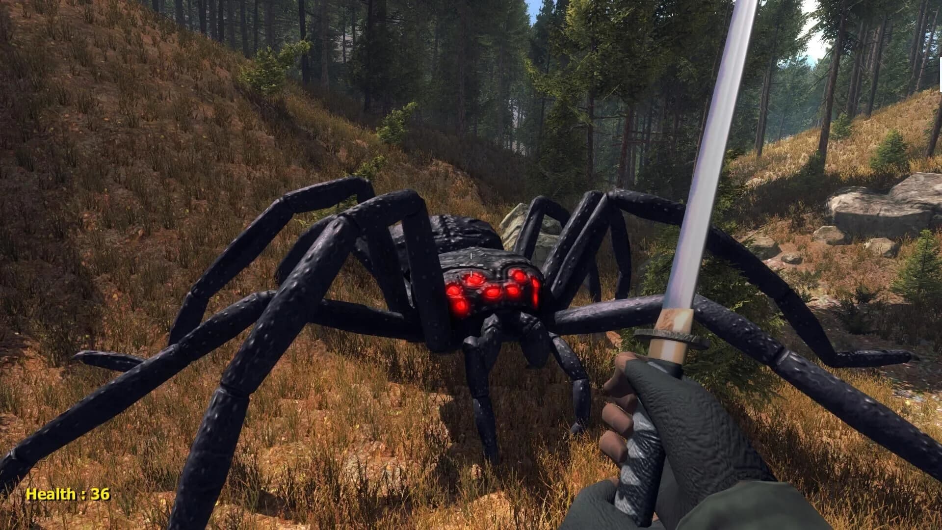 Forest spiders görsel 3