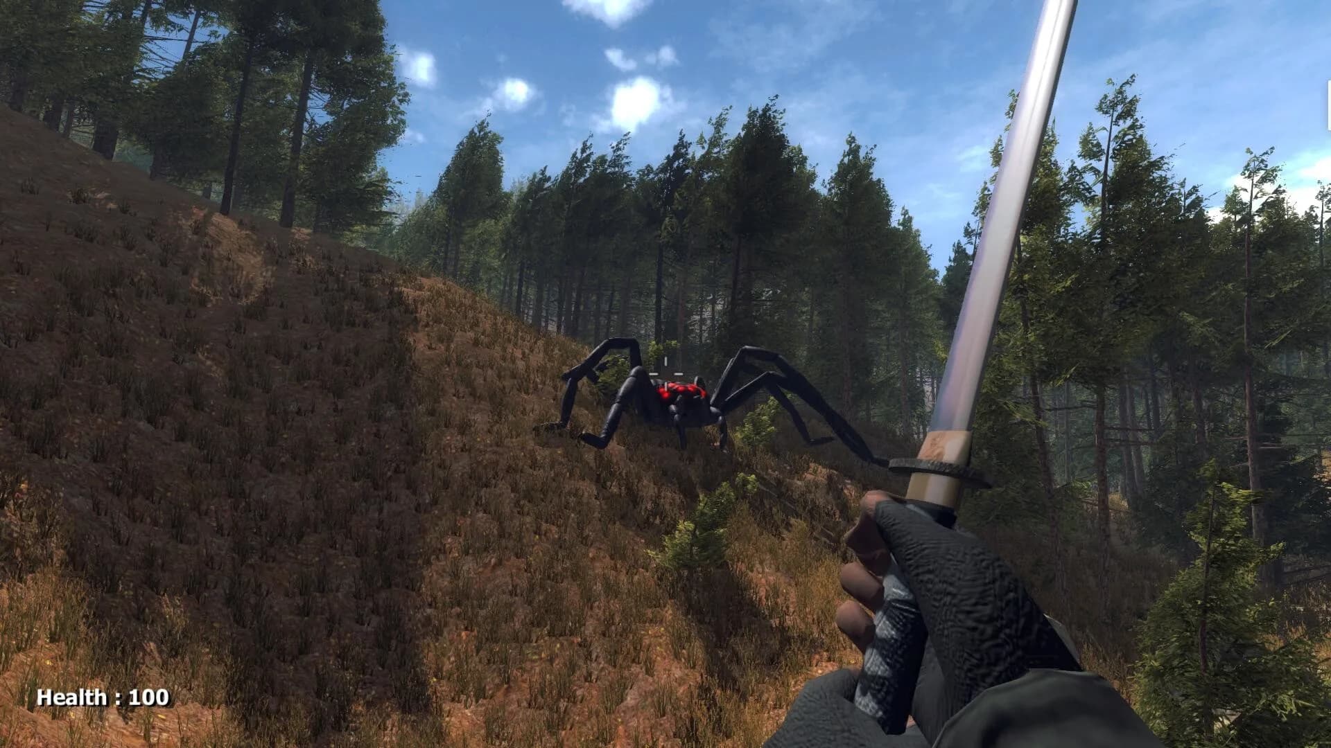 Forest spiders görsel 4
