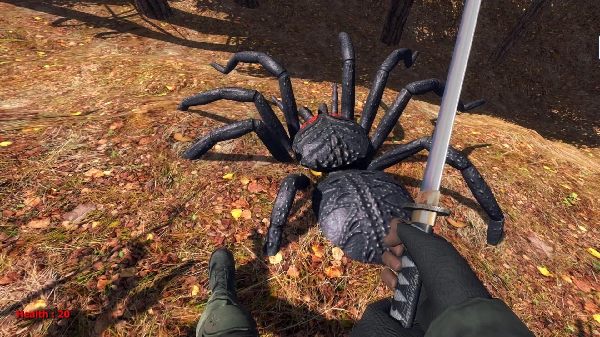 Forest spiders görsel 5