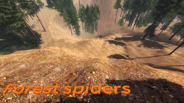 Forest spiders görsel 8