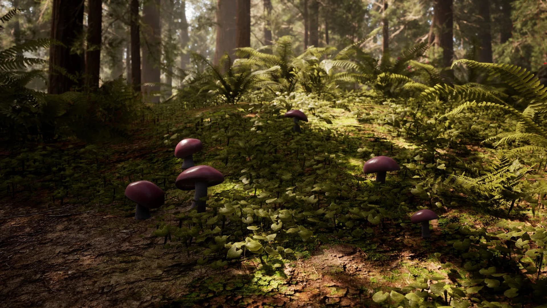 Morels: The Hunt görsel 21
