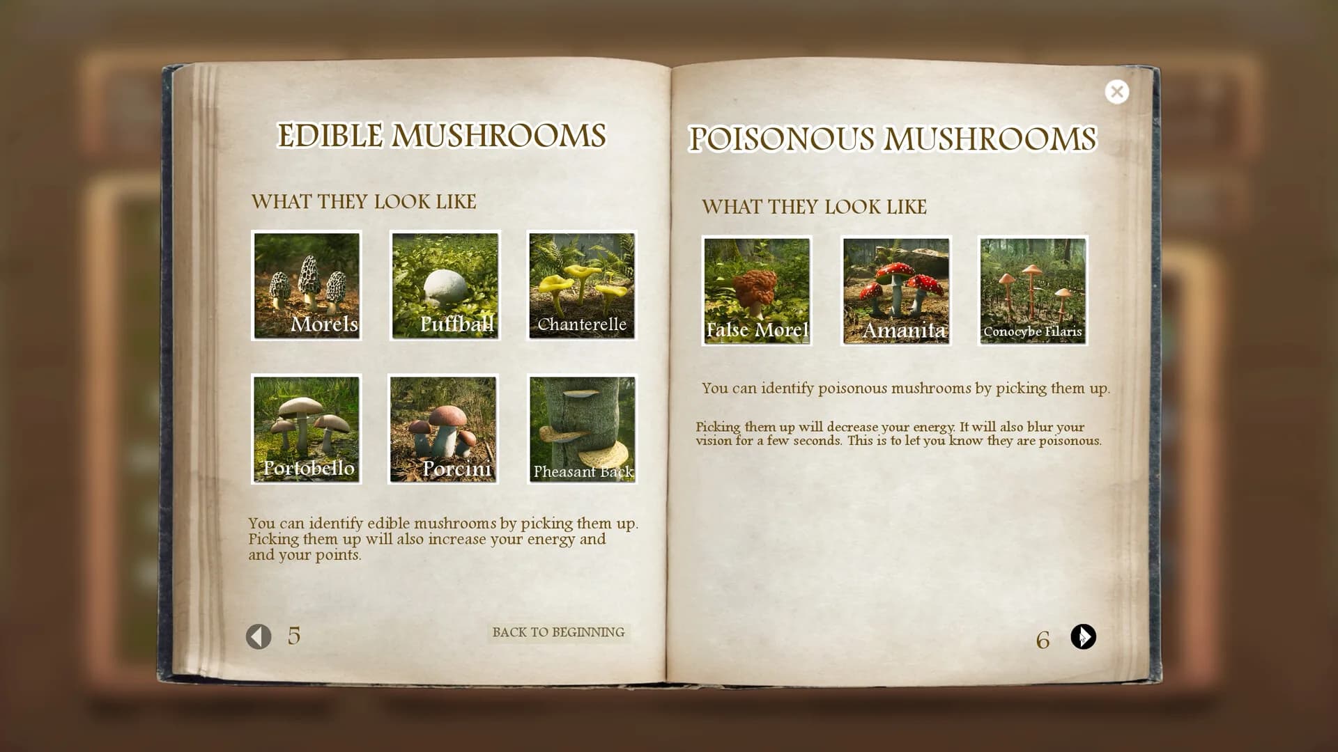 Morels: The Hunt görsel 10
