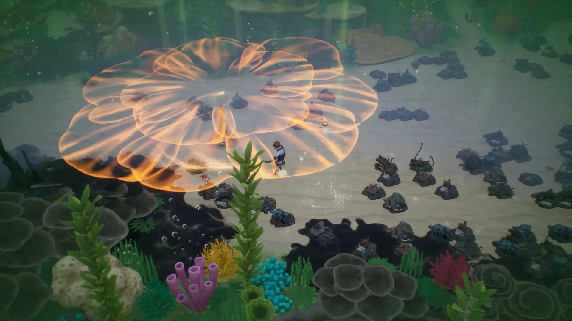Coral Island görsel 3